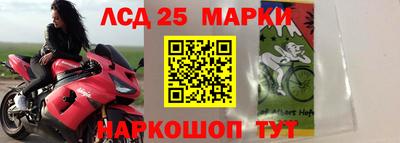 твердый Лесосибирск