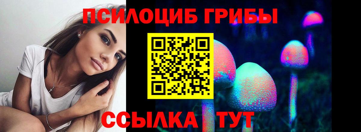 Узловая  Псилоцибиновые грибы GOLDEN TEACHER  Галлюциногенные грибы Psilocybine cubensis  цена наркотик  Вход с VPN 